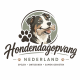 hondendagopvang